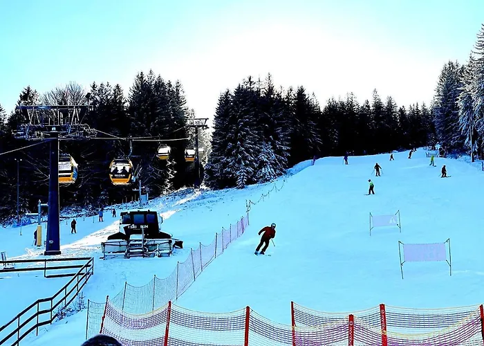 Apartamenty Superior Izery Cicha-Free Parking * Świeradów-Zdrój